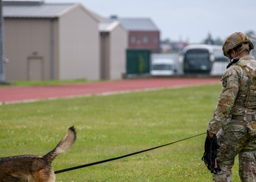 MWD Certification on Chièvres Air Base