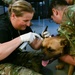 IRT Vet Inspects Dog Ears