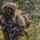 CLB-8 Convoy Operations: 4th Reconnaissance Battalion CLB-8 Convoy Operations: 4th Reconnaissance Battalion