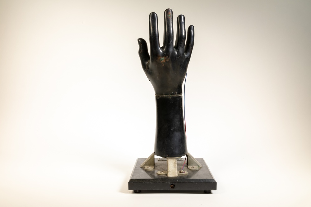 Hand manikin