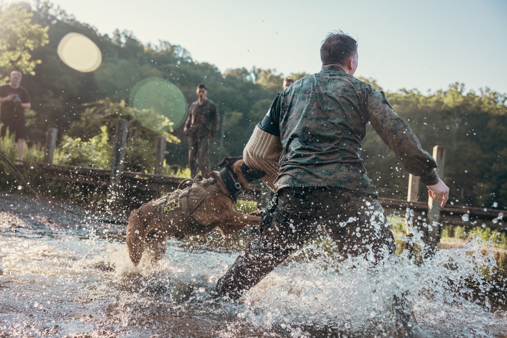 U.S. Marines with the Provost Marshall Office K-9 conduct water aggression training with military working dogs