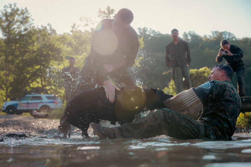 U.S. Marines with the Provost Marshall Office K-9 conduct water aggression training with military working dogs