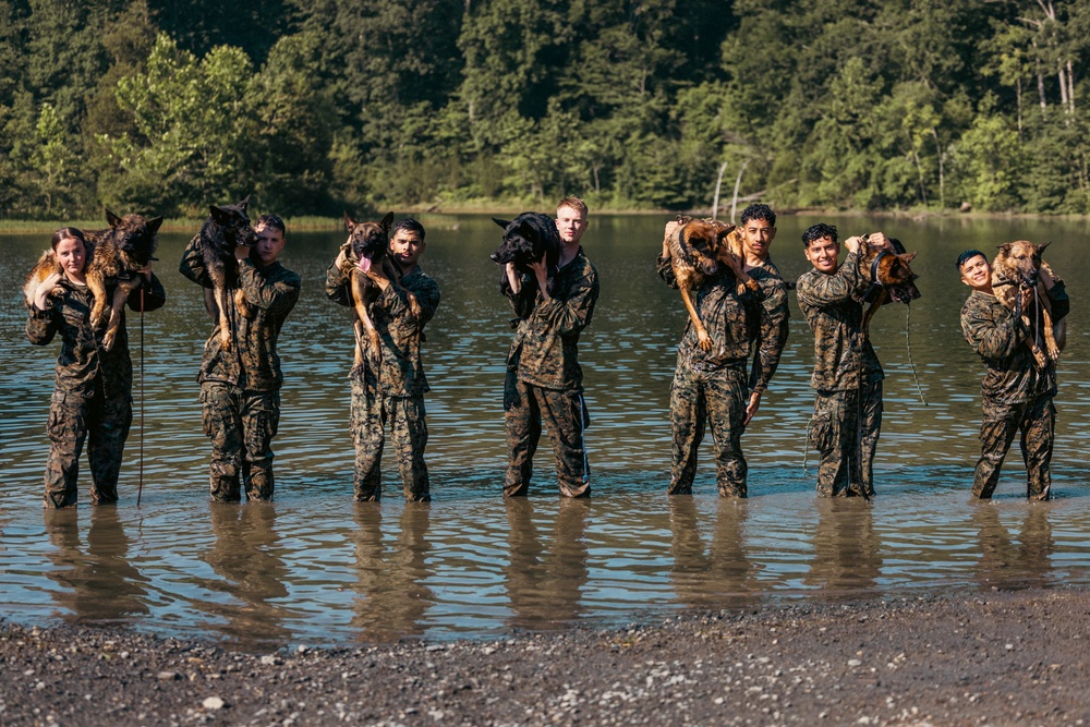 U.S. Marines with the Provost Marshall Office K-9 conduct water aggression training with military working dogs