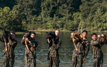 U.S. Marines with the Provost Marshall Office K-9 conduct water aggression training with military working dogs