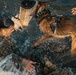 U.S. Marines with the Provost Marshal Office conduct water aggression training with military working dogs