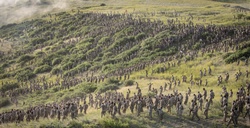 Ivy Soldiers Triumph in D-Day Themed Physical Training Exercise