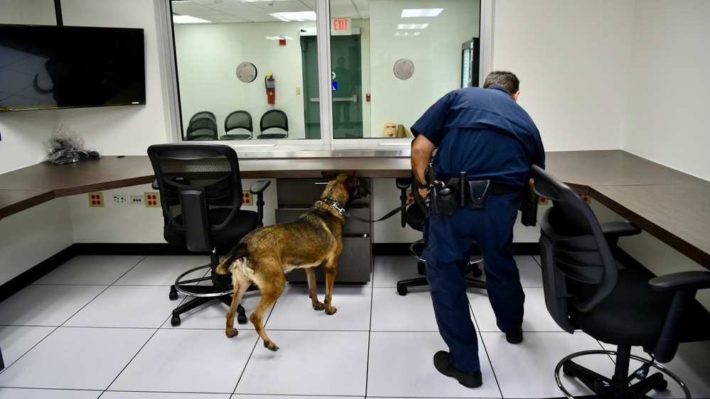 Fort Buchanan K9 team certification: readiness in the making