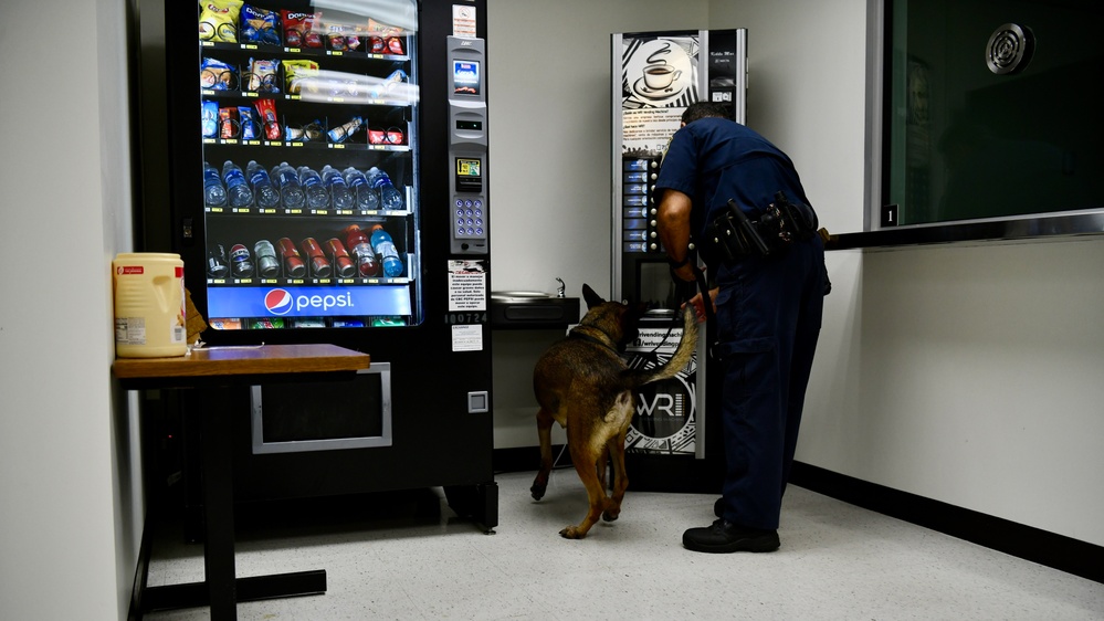 Fort Buchanan K9 team certification: readiness in the making