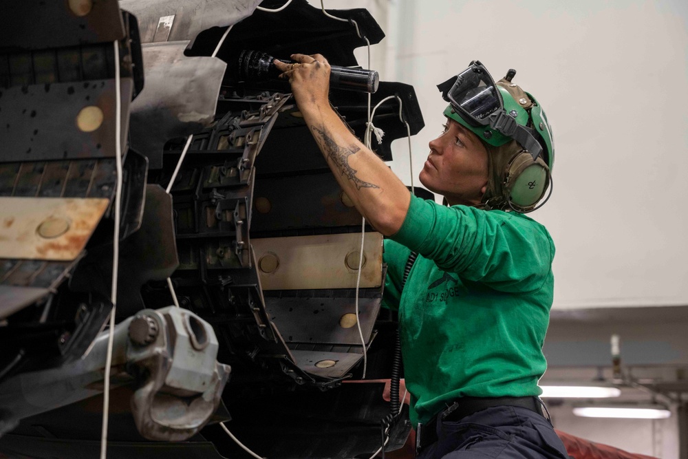 USS Carl Vinson (CVN 70) Sailor Maintains Aircraft