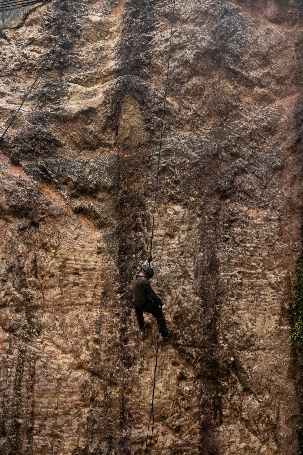 Kilo Company Rappel down Jungle Terrain