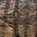 Kilo Company Rappel down Jungle Terrain