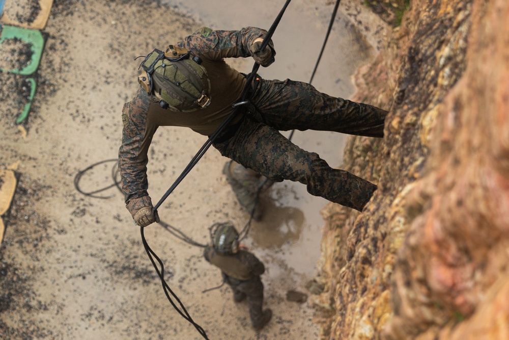 Kilo Company Rappel down Jungle Terrain