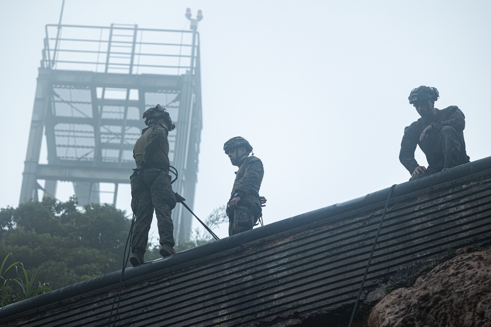 Kilo Company Rappel down Jungle Terrain
