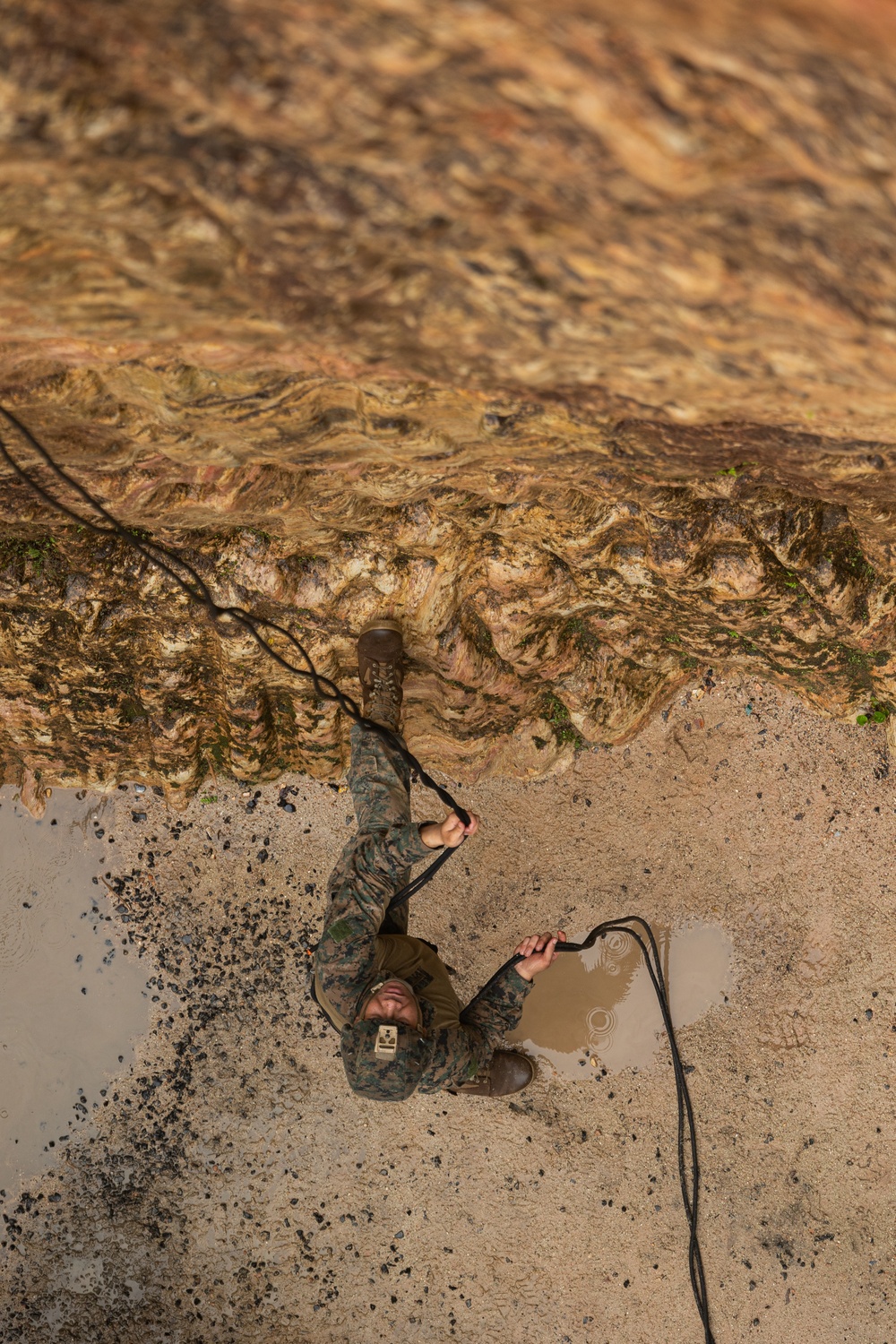 Kilo Company Rappel down Jungle Terrain