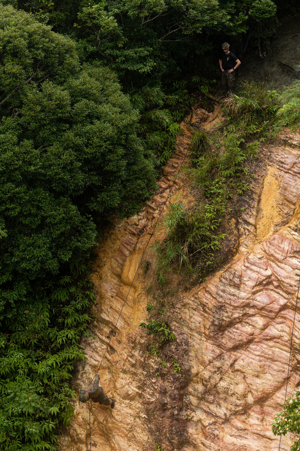 Kilo Company Rappel down Jungle Terrain