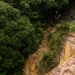 Kilo Company Rappel down Jungle Terrain