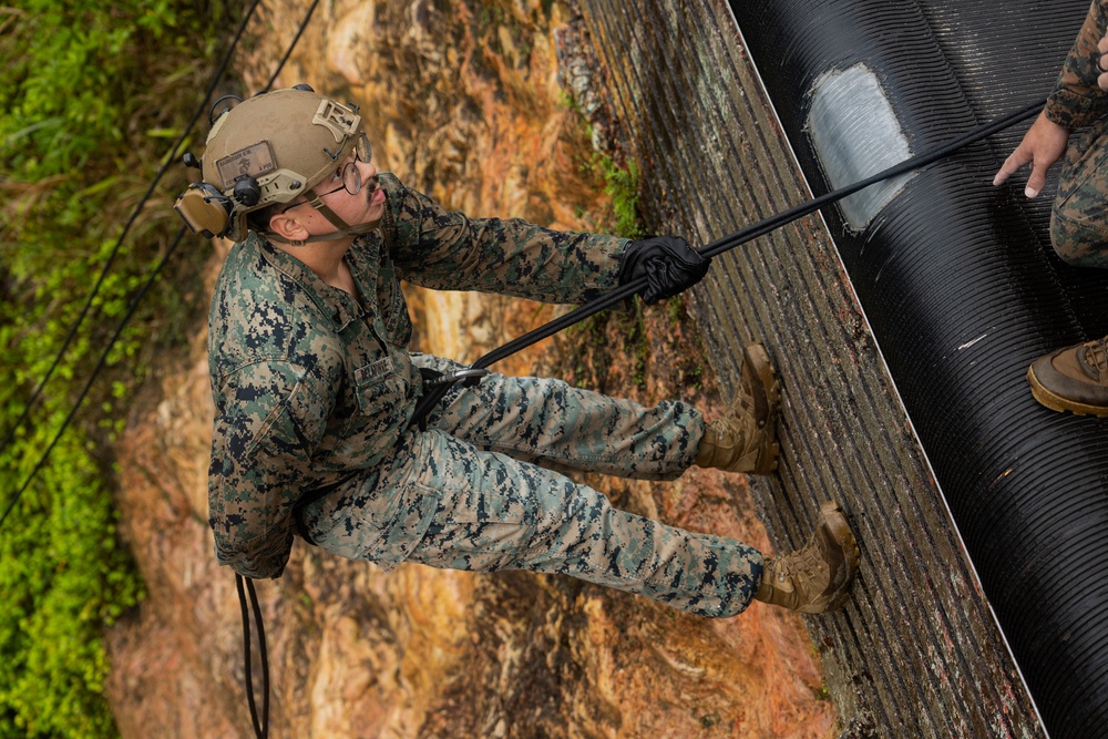 Kilo Company Rappel down Jungle Terrain