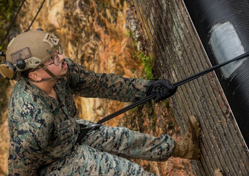 Kilo Company Rappel down Jungle Terrain
