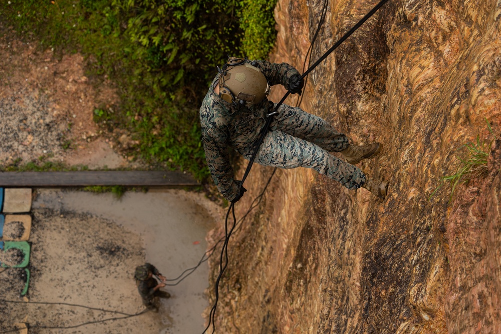 Kilo Company Rappel down Jungle Terrain