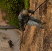 Kilo Company Rappel down Jungle Terrain
