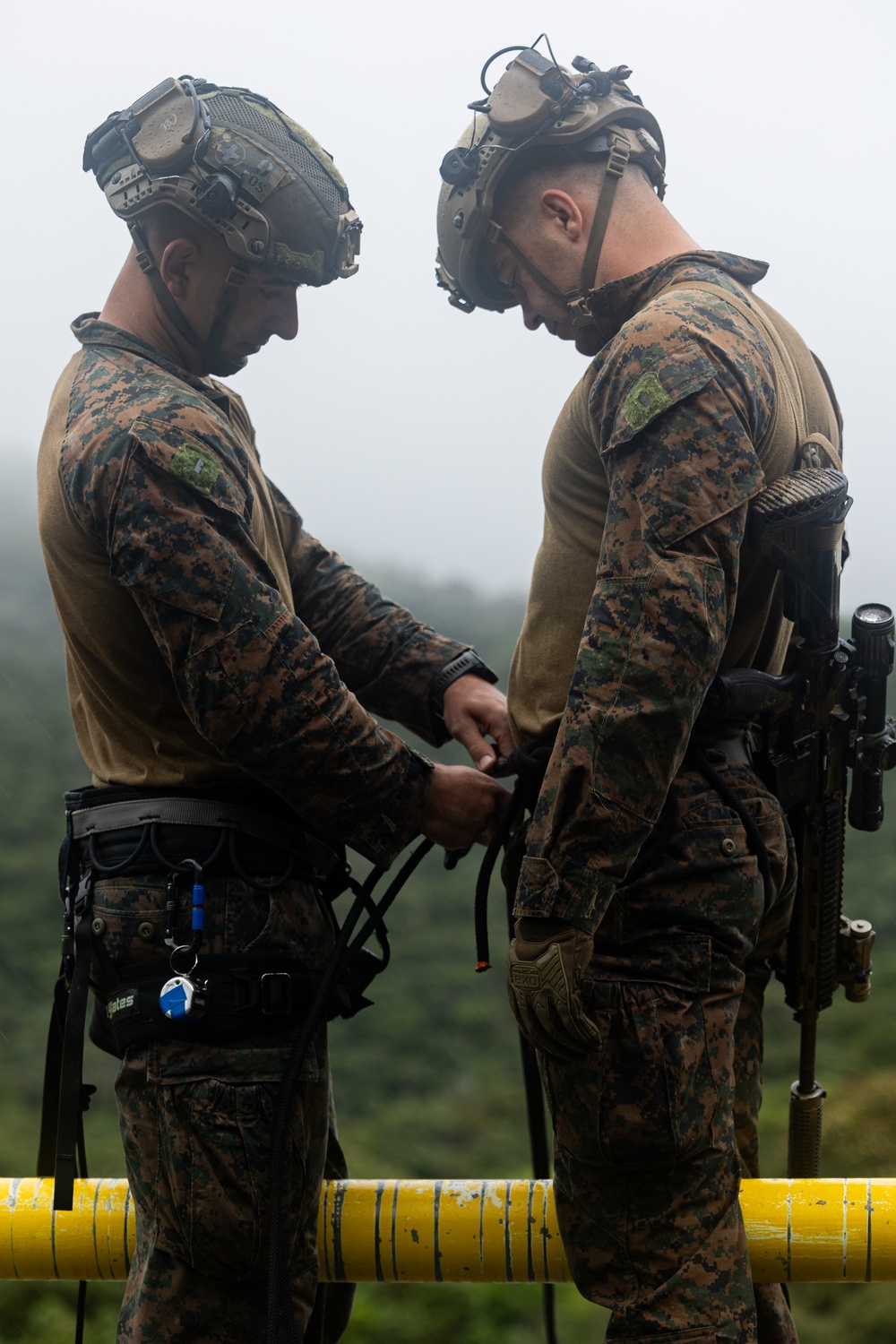 Kilo Company Rappel down Jungle Terrain