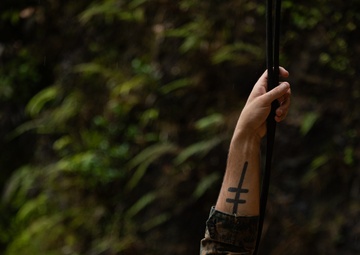 Kilo Company Rappel down Jungle Terrain