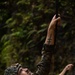 Kilo Company Rappel down Jungle Terrain