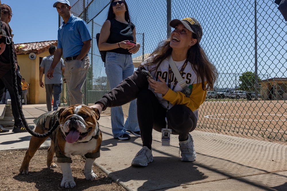 Padres Alumni &amp; MCRD San Diego Softball Game