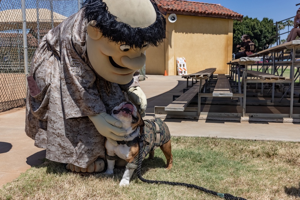 Padres Alumni &amp; MCRD San Diego Softball Game