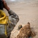 U.S. Marines conduct sniper range during exercise Resolute Sentinel 24