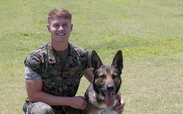 Leaving a paw print: honoring Fleck, a military working dog