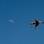 2024 Columbus Air Show