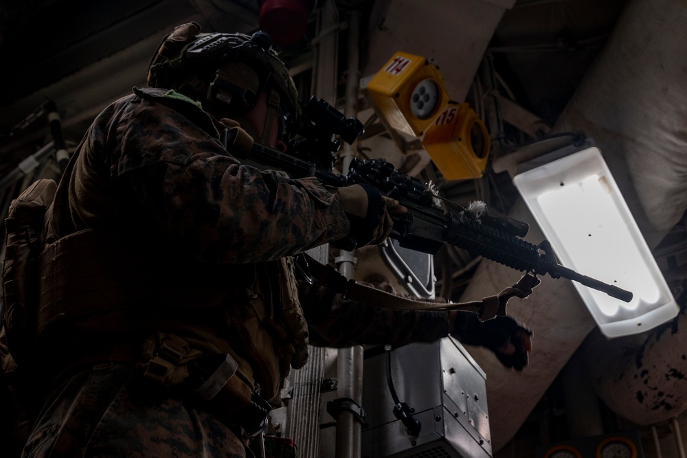 31st MEU, MRF and BLT 1/4 conduct VBSS aboard USS Warrior (MCM 10)