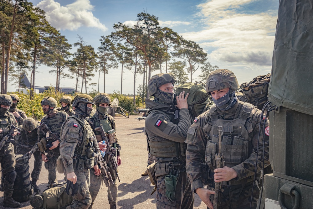 CLB-8 Convoy Operations: Polish Soldiers