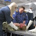 USS Mount Whitney Conducts Mass Casualty Drill