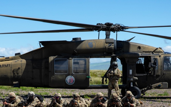 1-183rd AVN air assault training