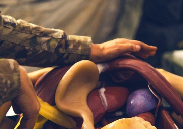 996 Medical Company Area Support Participate in Global Medic Exercise 2024