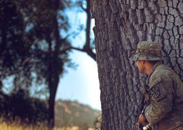 996 Medical Company Area Support Participate in Global Medic Exercise 2024