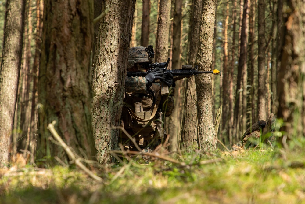 WSP ARG - 24th MEU (SOC) Amphibious Assault during BALTOPS 24