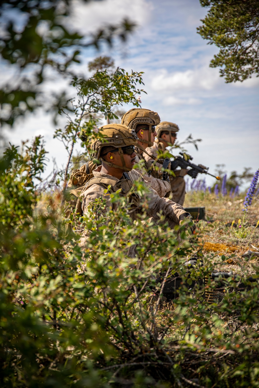 2nd AAB Marines, Swedish 181st Armored Battalion conduct an integrated company level dry-fire and maneuver range in Sweden during BALTOPS 24