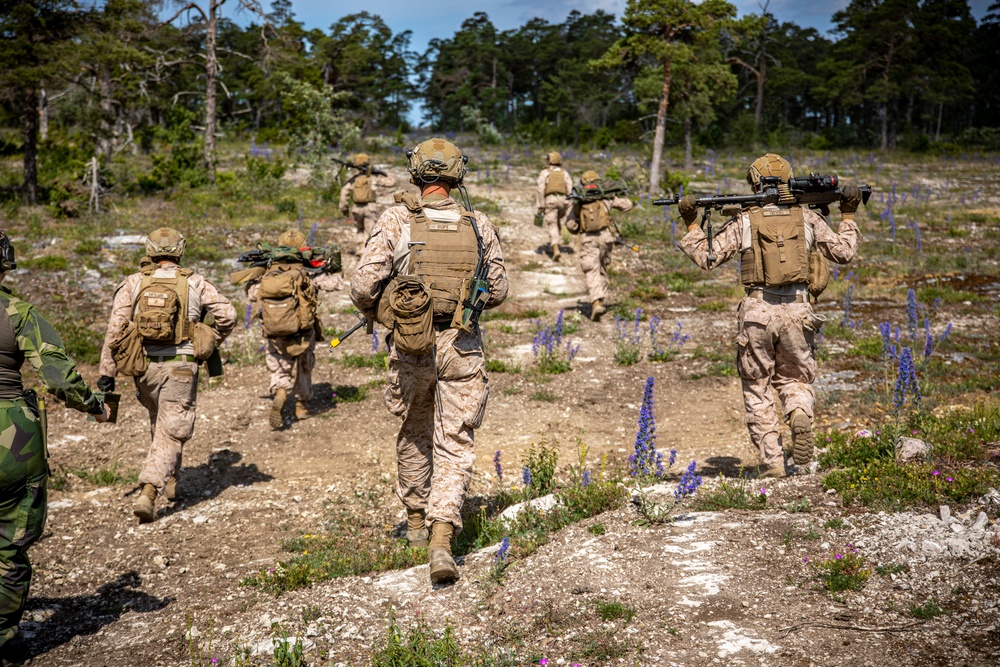 2nd AAB Marines, Swedish 181st Armored Battalion conduct an integrated company level dry-fire and maneuver range in Sweden during BALTOPS 24