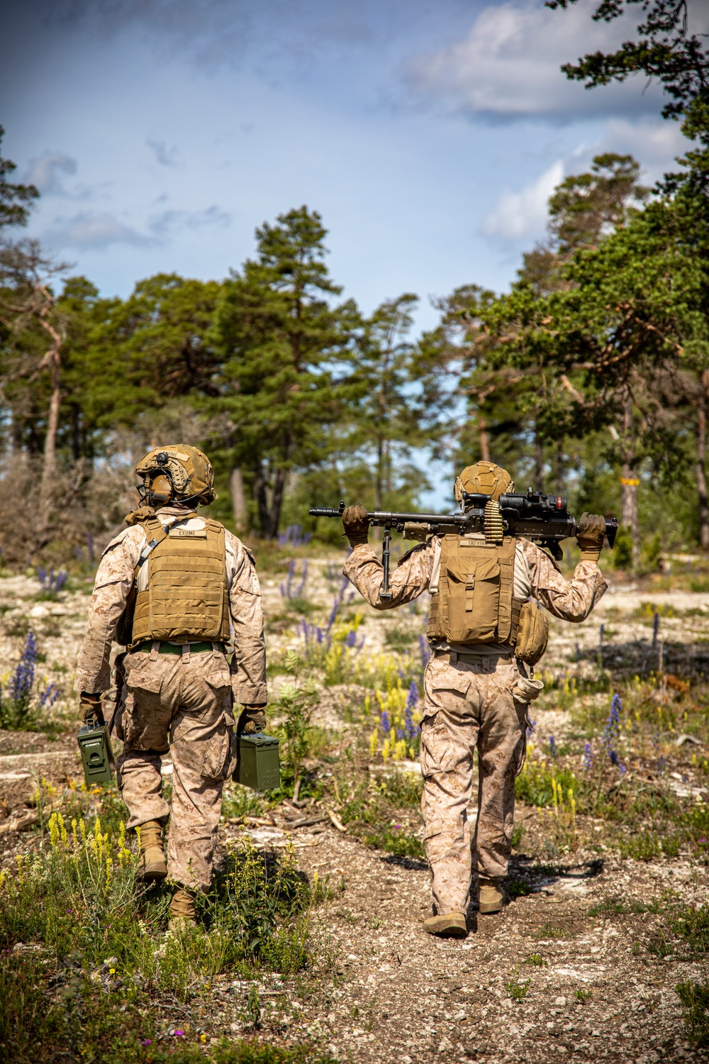 2nd AAB Marines, Swedish 181st Armored Battalion conduct an integrated company level dry-fire and maneuver range in Sweden during BALTOPS 24