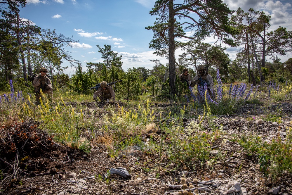 2nd AAB Marines, Swedish 181st Armored Battalion conduct an integrated company level dry-fire and maneuver range in Sweden during BALTOPS 24