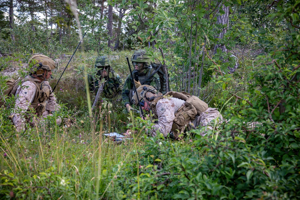 2nd AAB Marines, Swedish 181st Armored Battalion conduct an integrated company level dry-fire and maneuver range in Sweden during BALTOPS 24