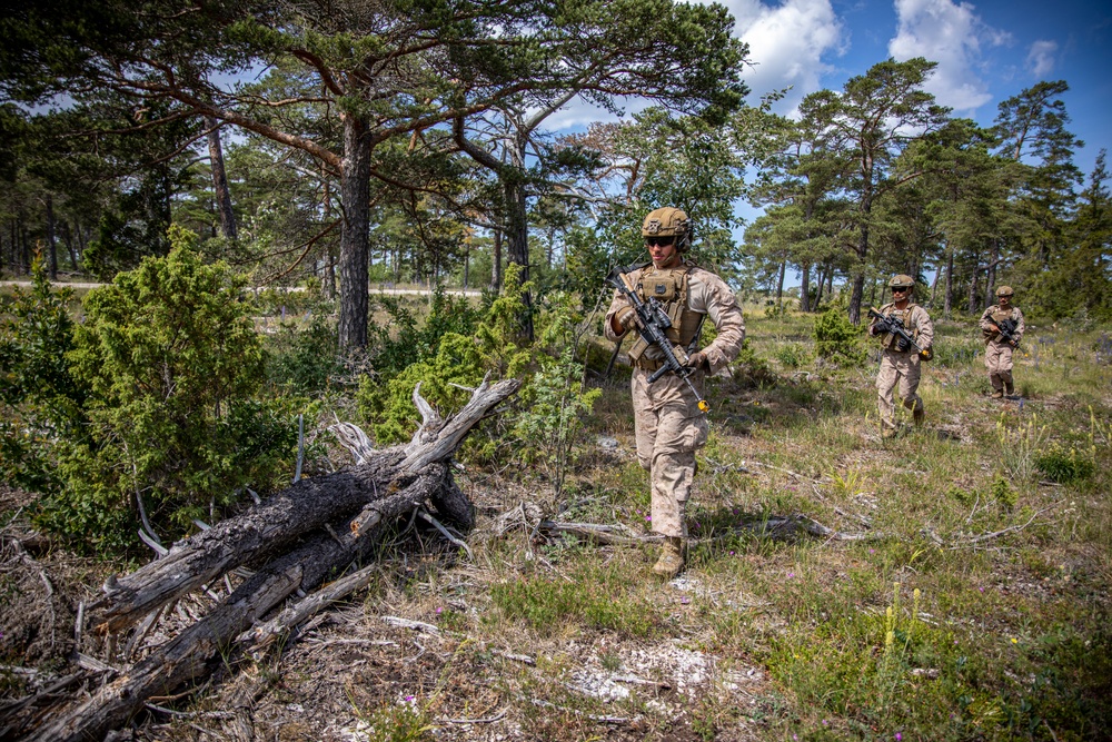 2nd AAB Marines, Swedish 181st Armored Battalion conduct an integrated company level dry-fire and maneuver range in Sweden during BALTOPS 24