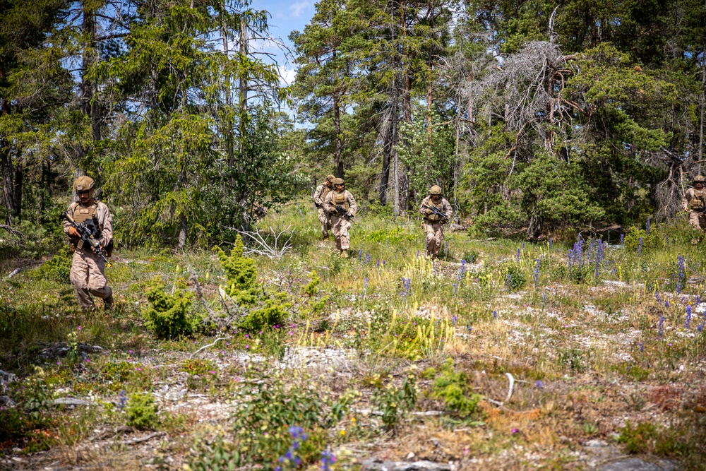 2nd AAB Marines, Swedish 181st Armored Battalion conduct an integrated company level dry-fire and maneuver range in Sweden during BALTOPS 24