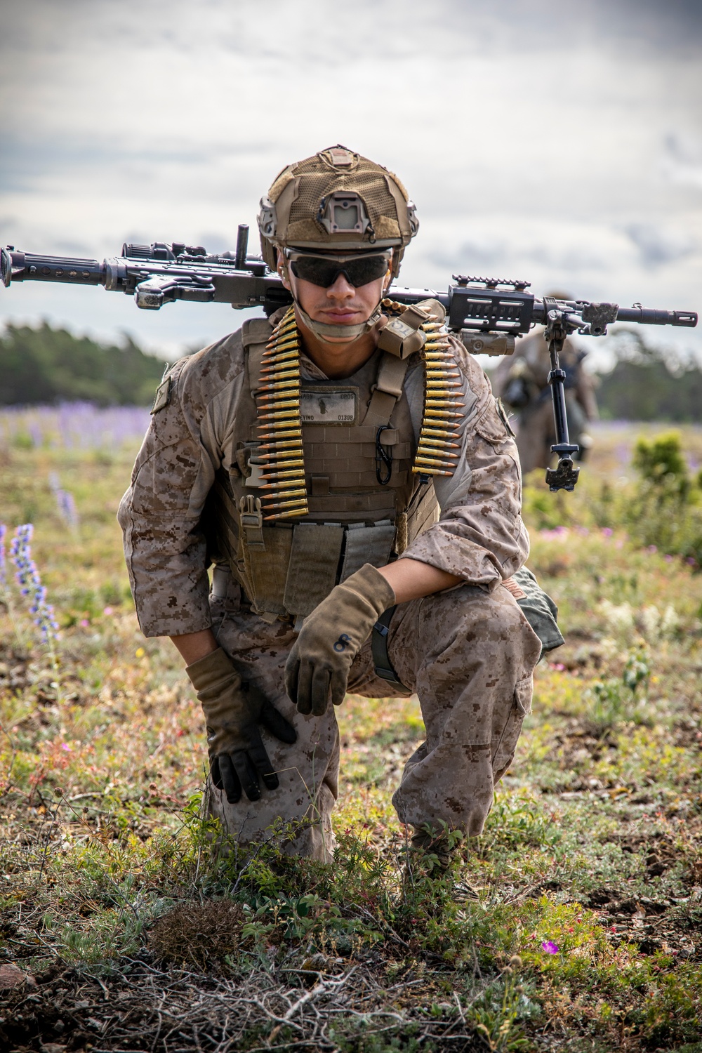 2nd AAB Marines, Swedish 181st Armored Battalion conduct an integrated company level live-fire and maneuver range in Sweden during BALTOPS 24