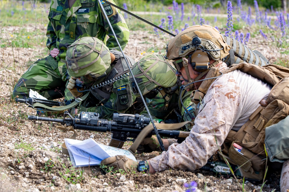 DVIDS - Images - U.S. Marines with 2d AABN conduct combined arms ranges ...