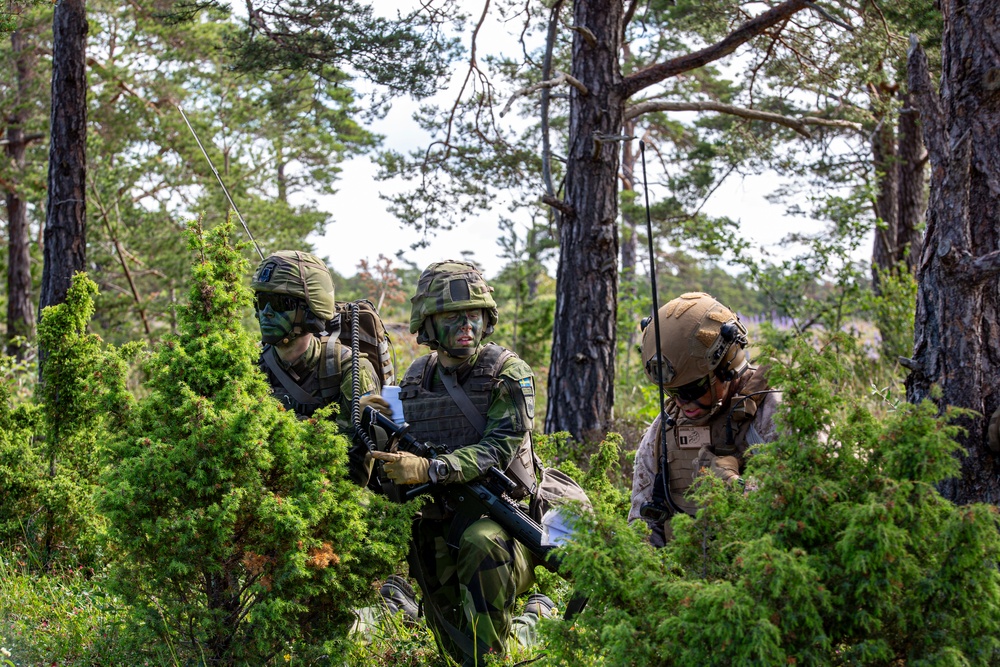 U.S. Marines with 2d AABN conduct combined arms ranges with Swedish Forces on Gotland Island