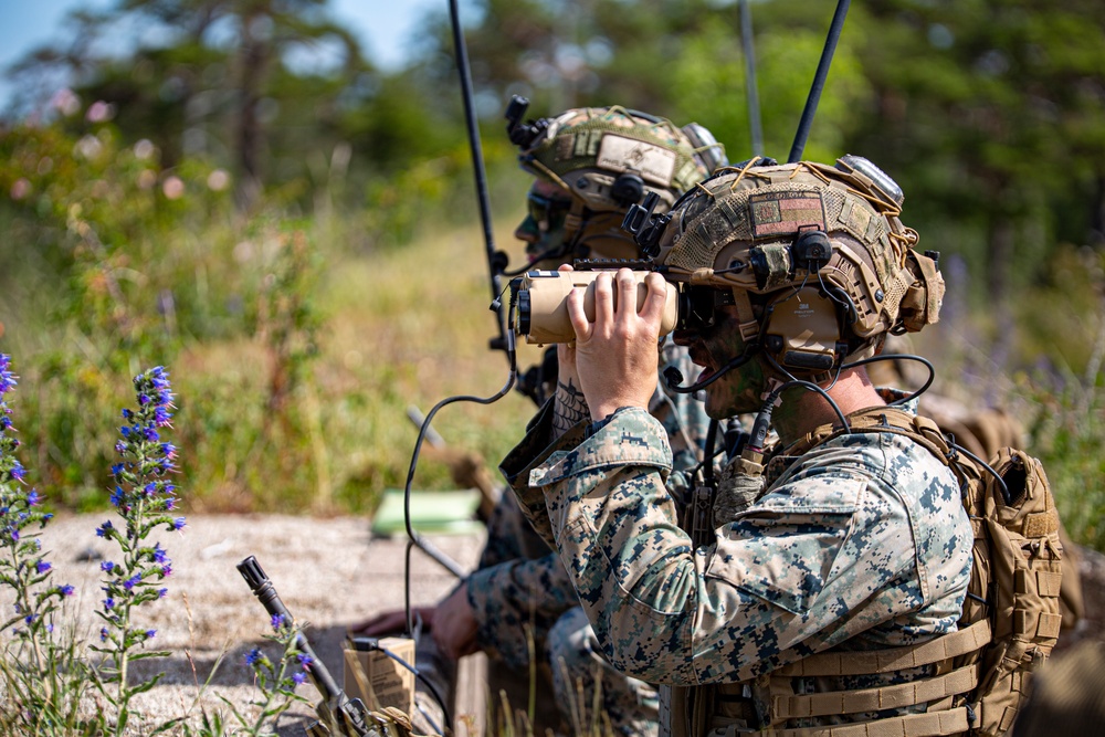 U.S. Marines with 2d AABN conduct combined arms ranges with Swedish Forces on Gotland Island